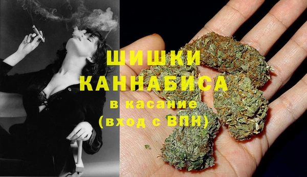стаф Абдулино
