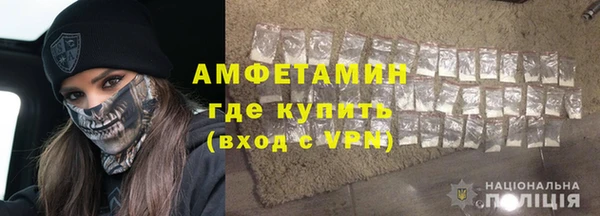 индика Зеленокумск