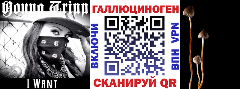 Галлюциногенные грибы MAGIC MUSHROOMS  где продают   Кедровый 
